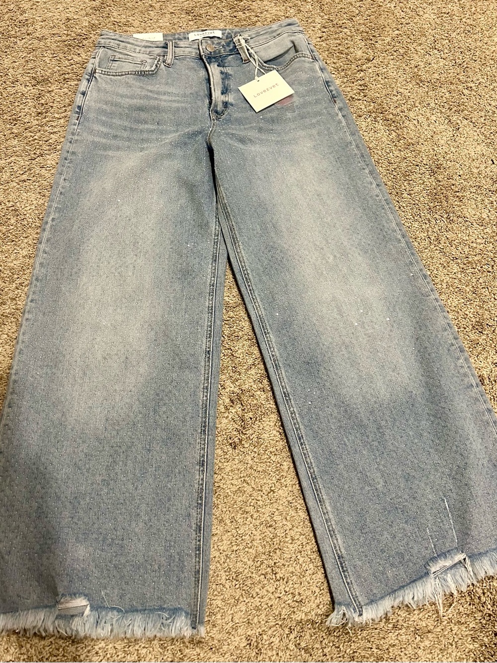 Light Wash Sparkle Wide-Leg Jeans with Frayed Hem